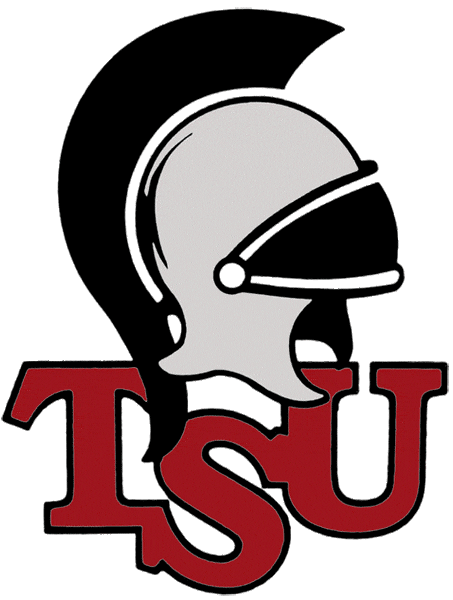 Troy Trojans 1993-2003 Primary Logo iron on transfers for fabric